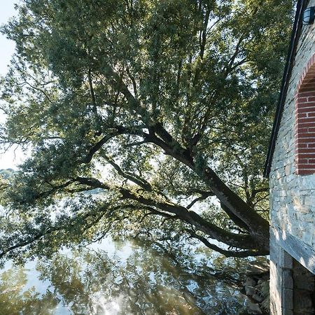 ホテル Domaine De L'Orangerie De Lanniron カンペール エクステリア 写真