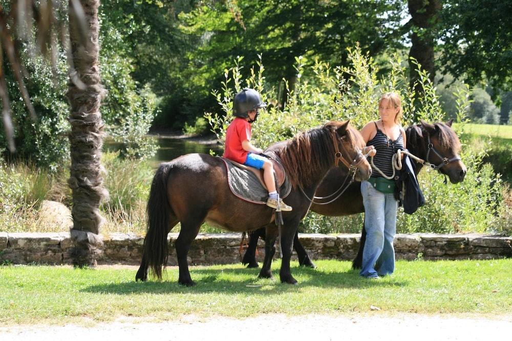ホテル Domaine De L'Orangerie De Lanniron カンペール エクステリア 写真